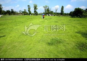 青草青青国产视频,国产视频中的青春记忆与成长轨迹